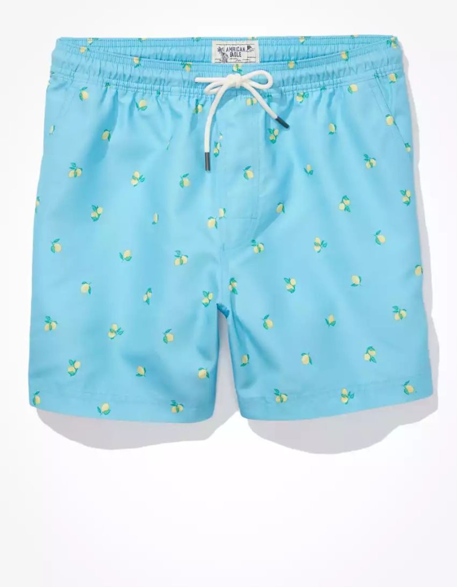 Shorts American Eagle AE 5.5